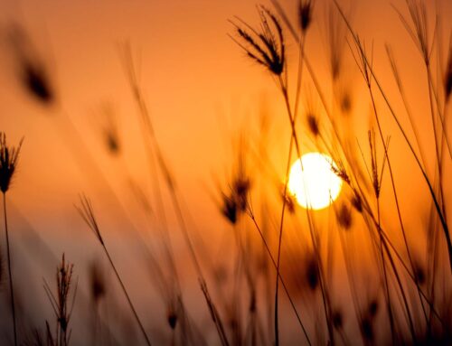 “Compassionate therapy for when life feels out of balance.”