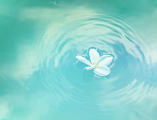 “Supporting you through fertility, burnout, and everything in between.”