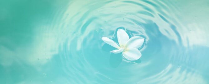 a white flower in blue water