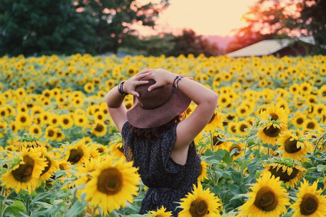 lady in a field full of sunflowers